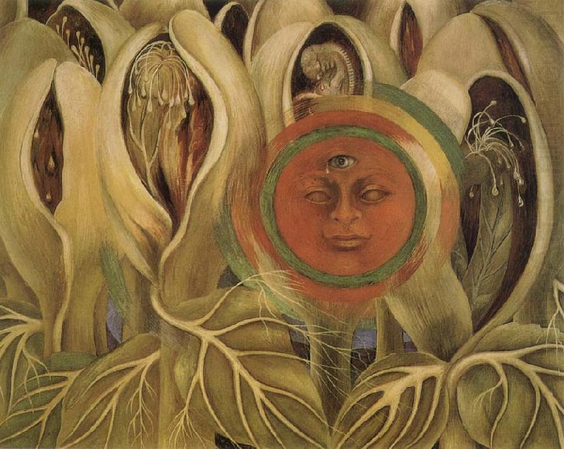 Frida Kahlo Sun and life china oil painting image